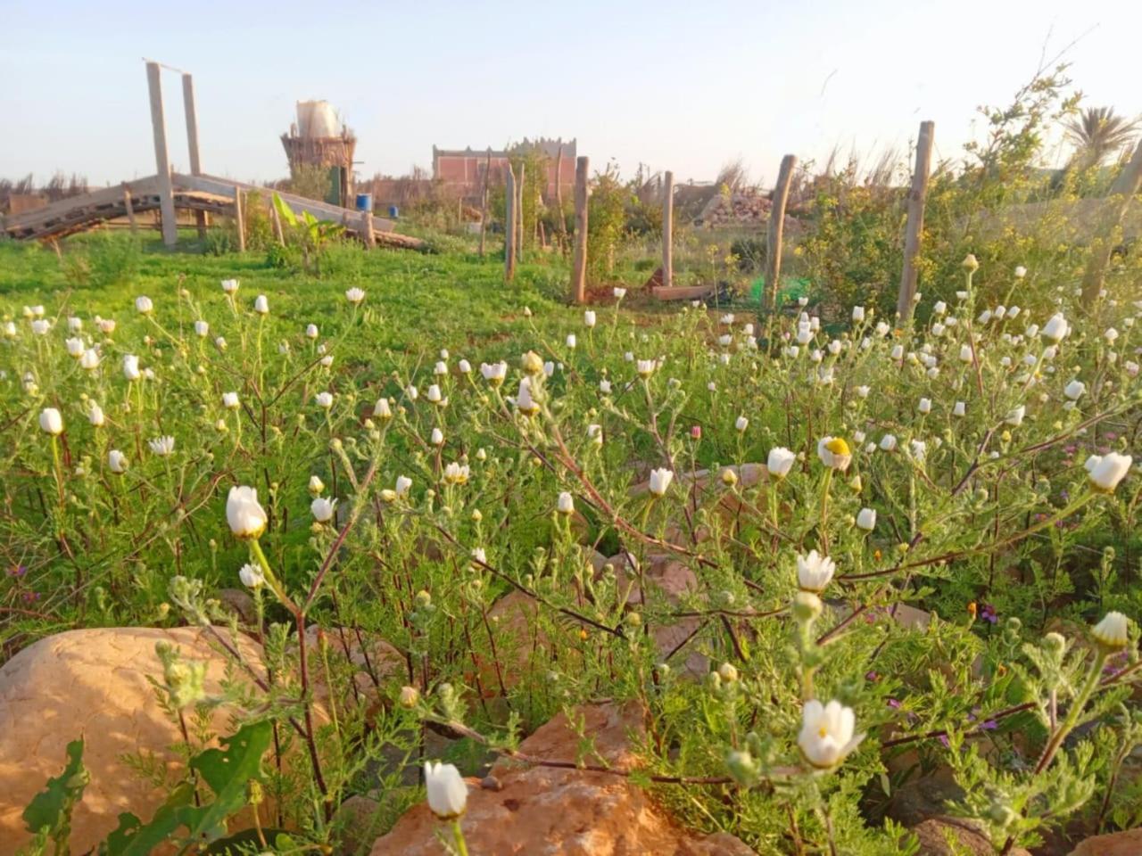 L'Experience Berbere Villa อกาดีร์ ภายนอก รูปภาพ