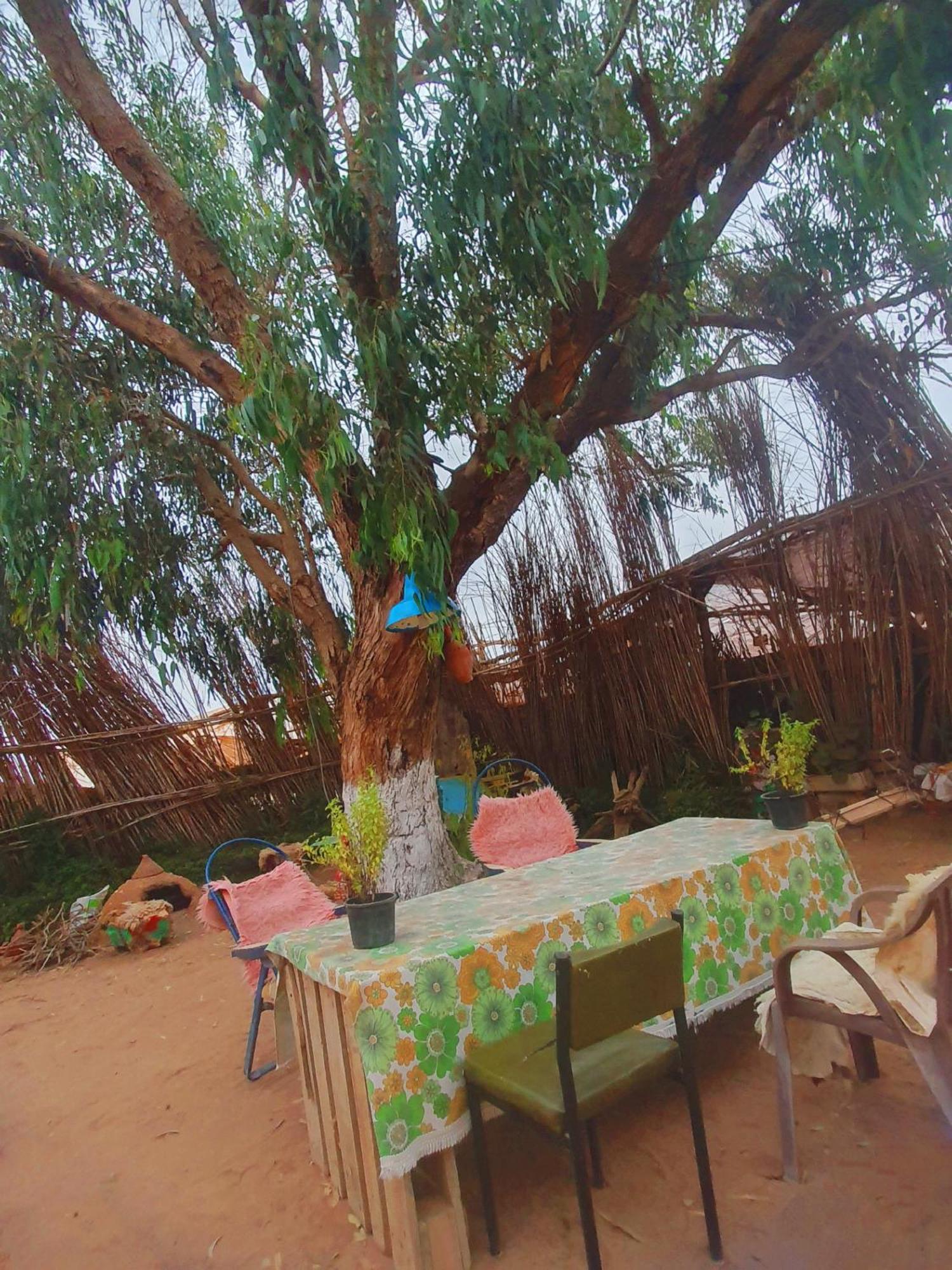 L'Experience Berbere Villa อกาดีร์ ภายนอก รูปภาพ